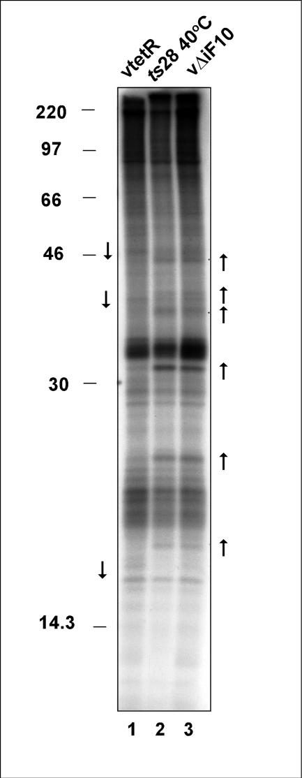 FIG. 11.