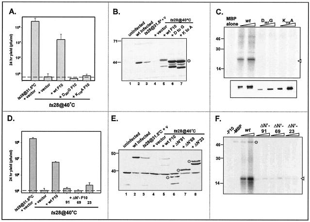 FIG. 8.