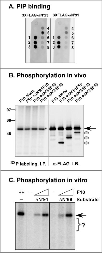 FIG. 9.