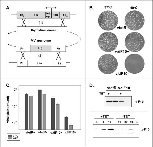 FIG. 6.