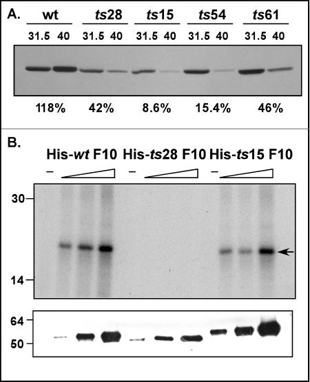 FIG. 5.