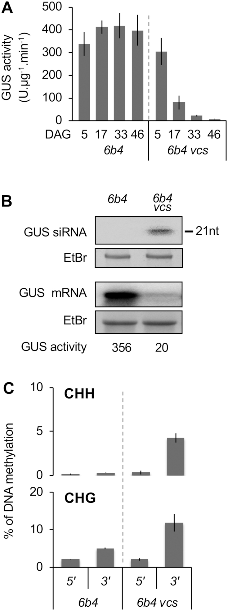 Figure 2.