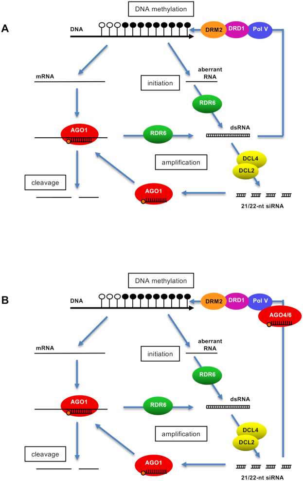 Figure 7.