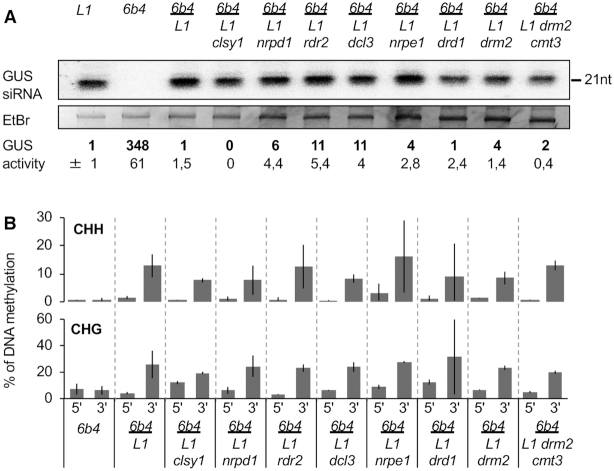 Figure 5.