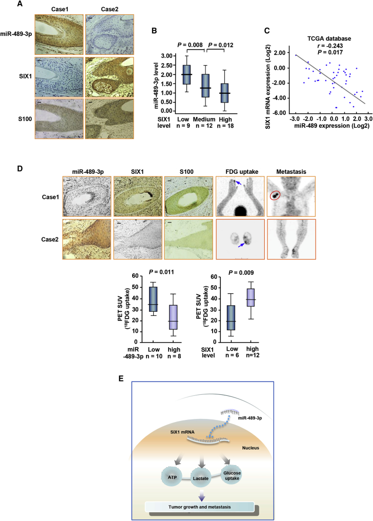 Figure 5