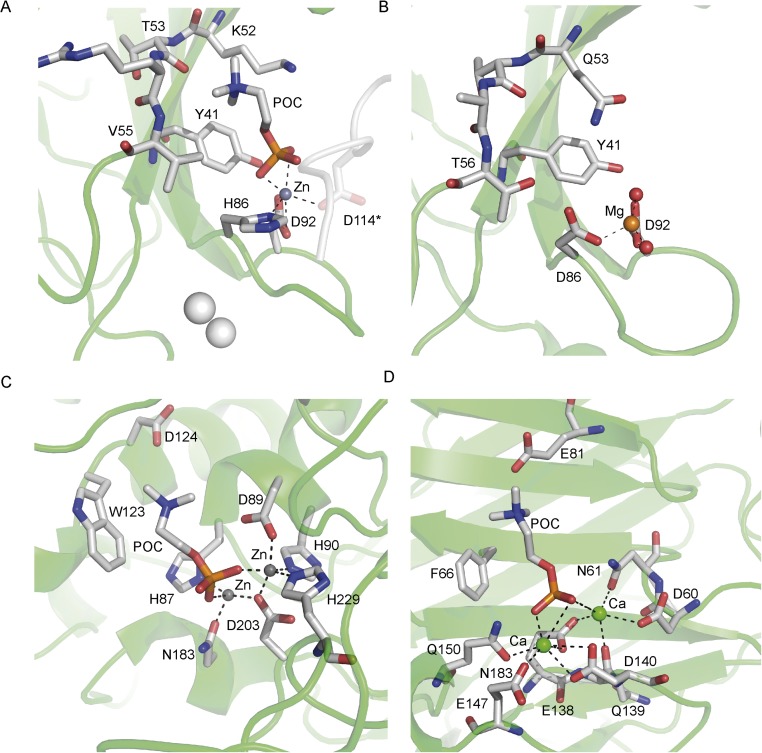 Fig. S3.