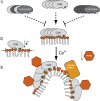 Fig. 8.