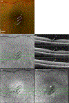 Figure 9.