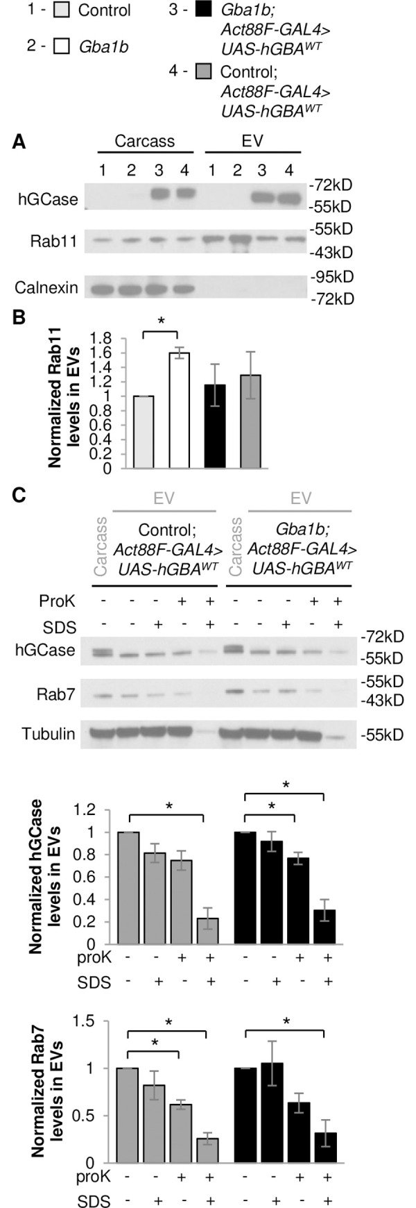 Fig 11