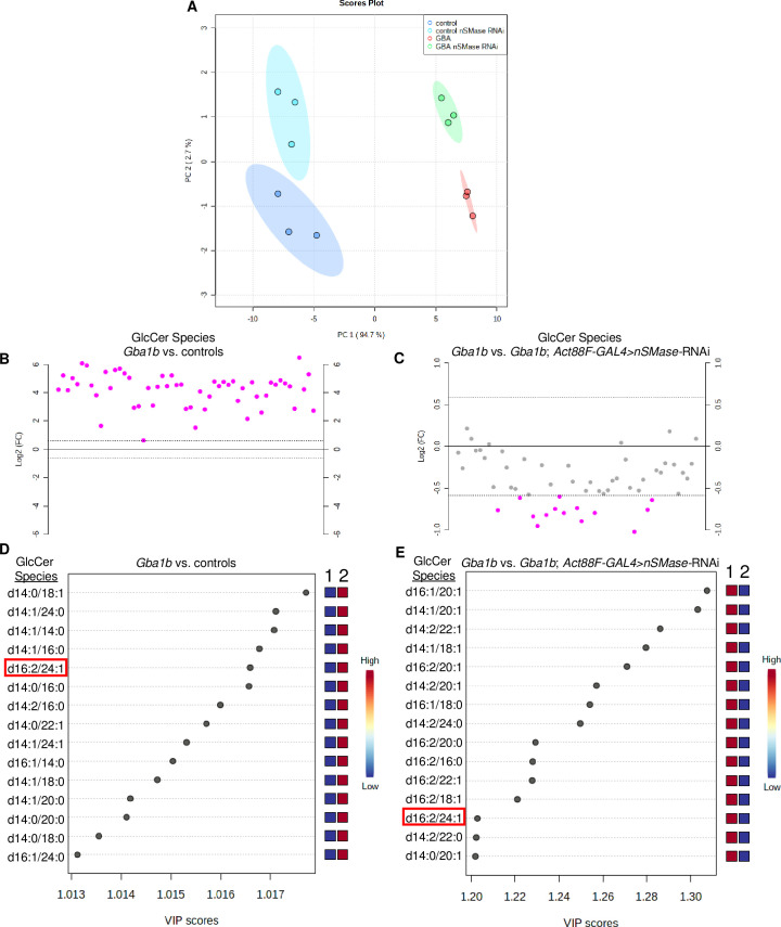 Fig 6