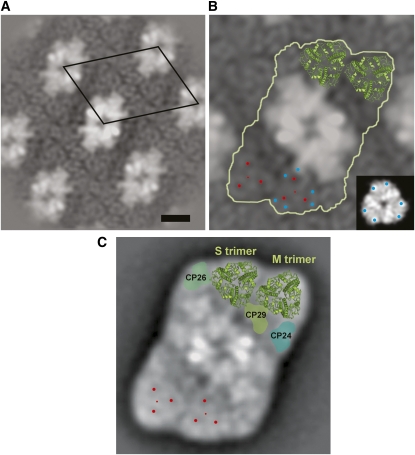 Figure 3.