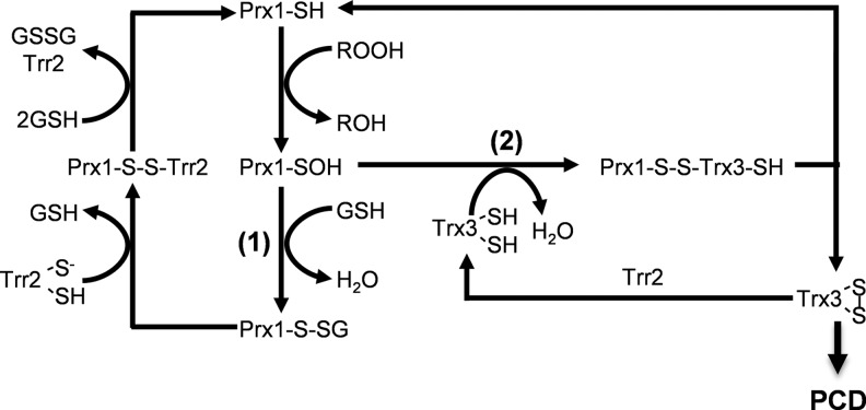 FIG. 7.