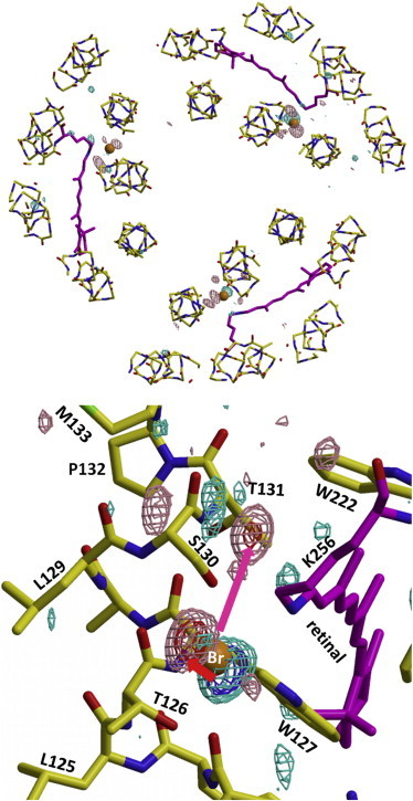 Figure 7