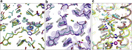 Figure 5