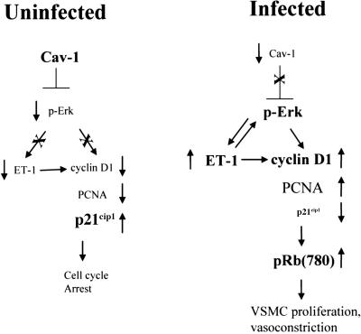 FIG. 10.