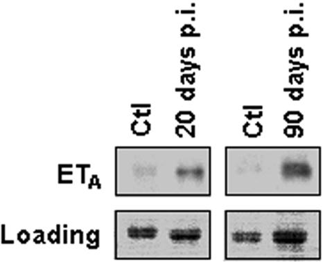 FIG. 8.