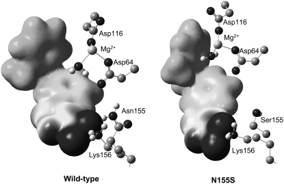 FIGURE 4