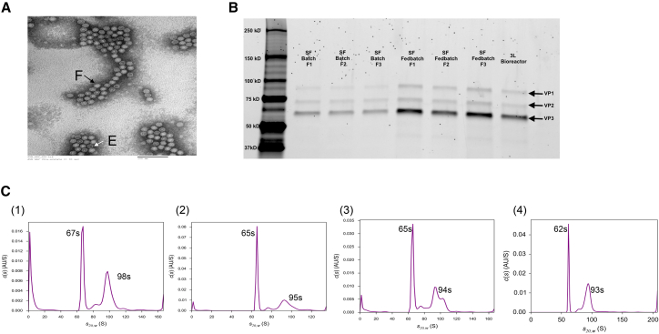 Figure 3