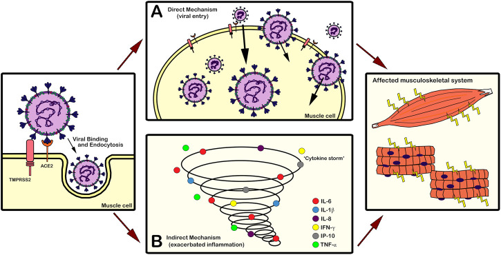 FIGURE 2