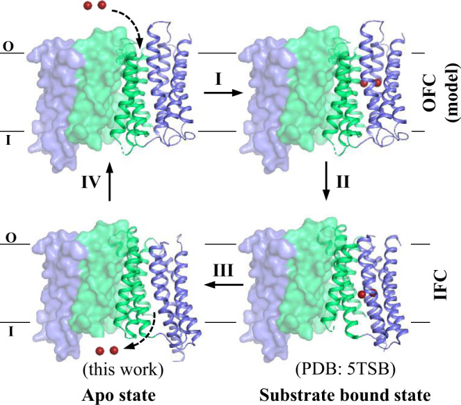 Fig. 10