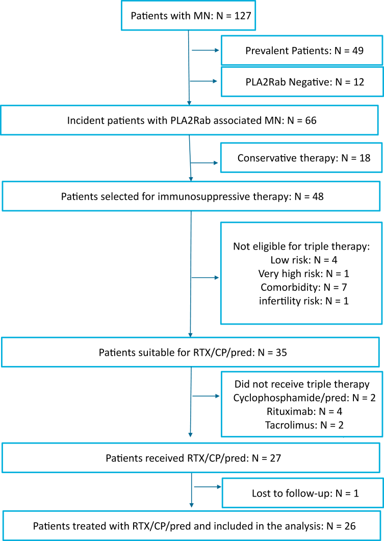 Figure 1