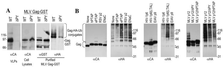 FIG. 5.