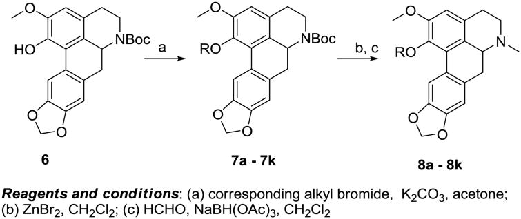 Scheme 1