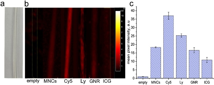 Fig. 2