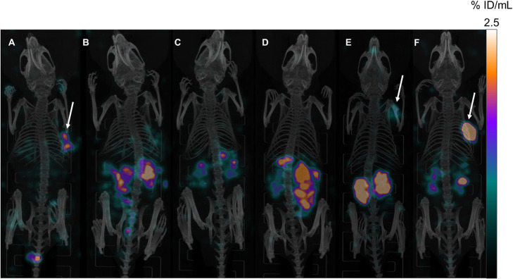 Fig. 6