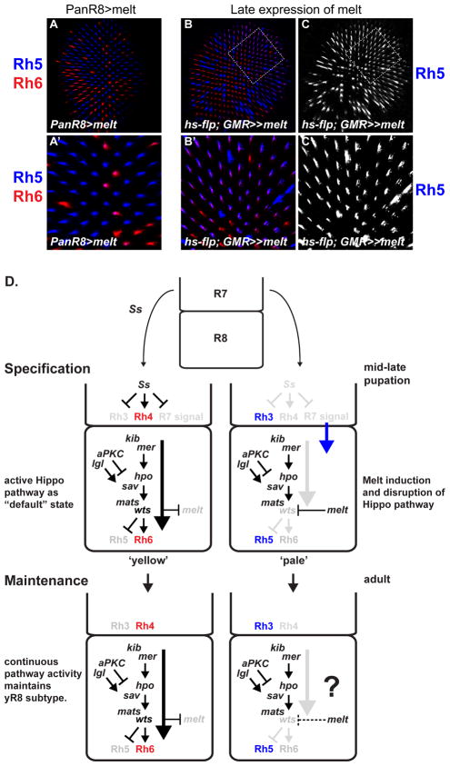 Figure 7