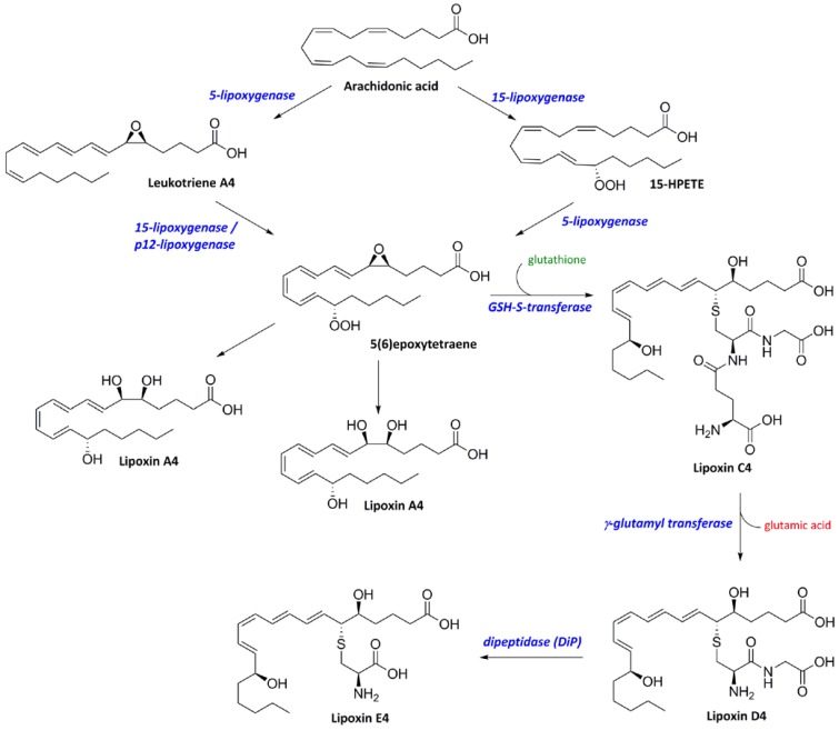 Scheme 2