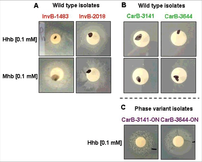 Figure 2.