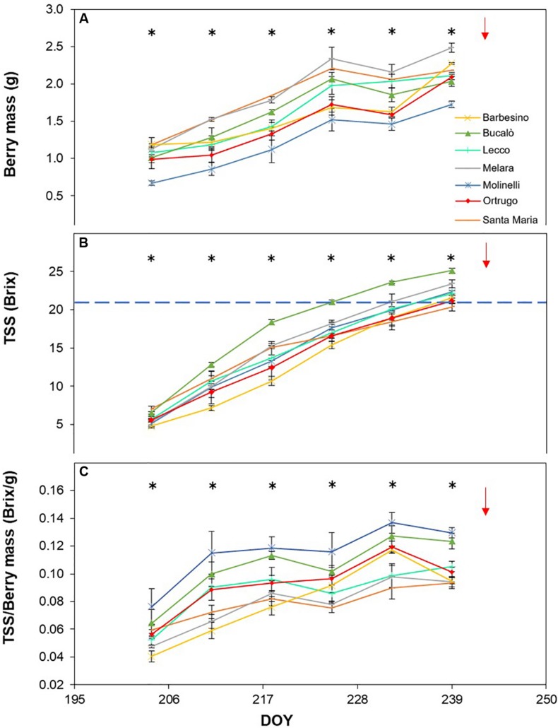 FIGURE 6