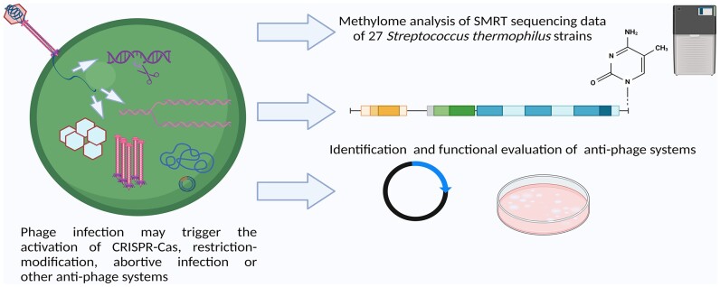 Graphical Abstract