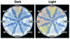 FIG. 2.