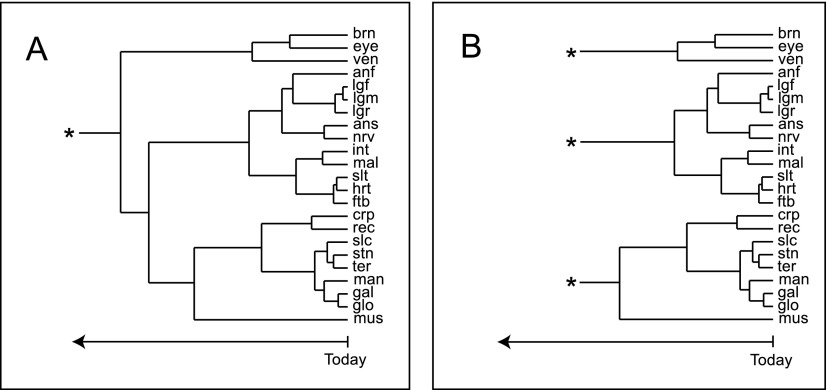 Figure 7.