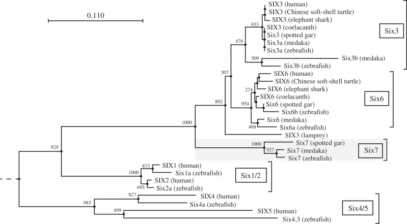 Figure 1.