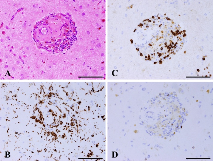 Fig. 3