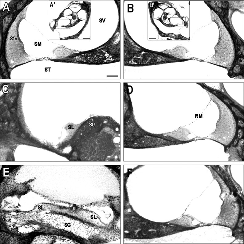 Fig. 9.