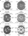 Fig. 2
