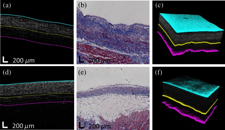 Fig. 4