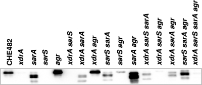 FIG. 6.