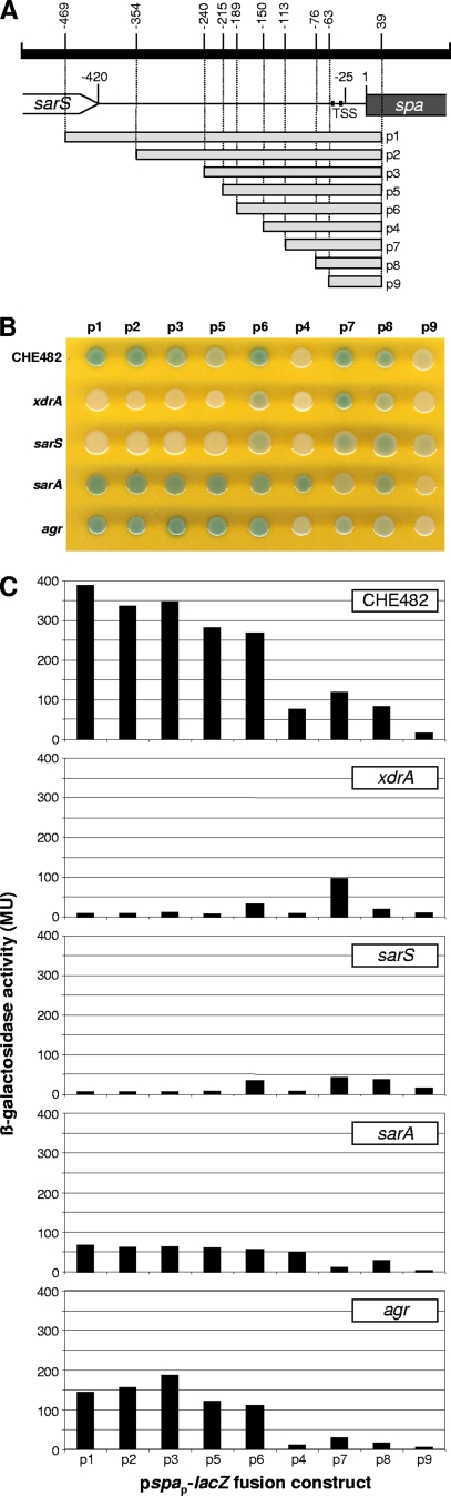 FIG. 10.