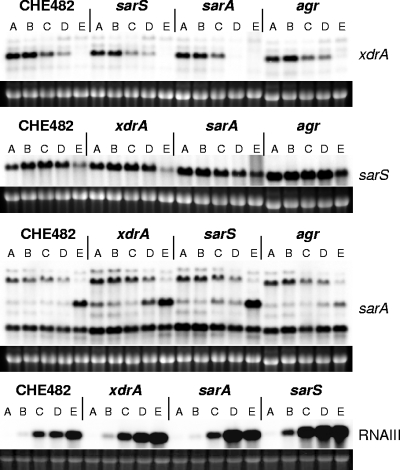 FIG. 7.