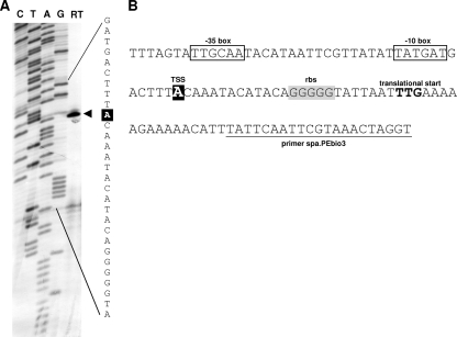 FIG. 9.