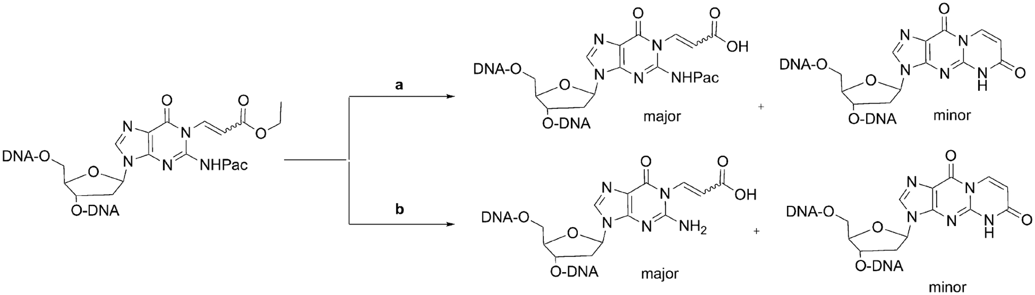 Scheme 2.