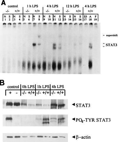 FIG. 5