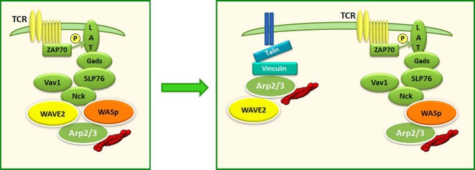 FIGURE 10.