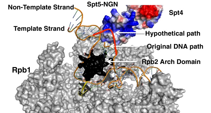 FIGURE 11.