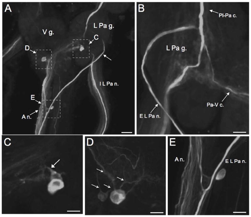 Figure 9